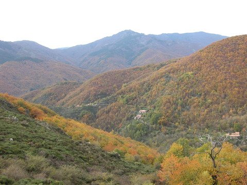 Vue imprenable sur la montagne