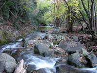 Rivière sous le gîte.