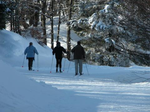 Ski de fond
