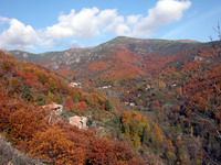 Automne